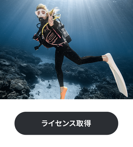 Divefit ｜ 水中写真に特化した沖縄のダイビングショップ ｜ English